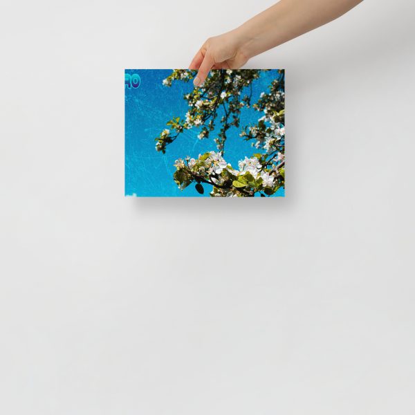Sky Blue-Poster - Image 3