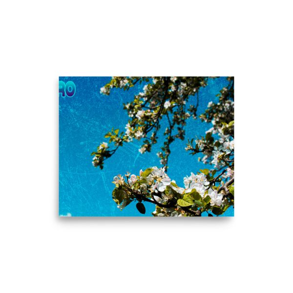 Sky Blue-Poster